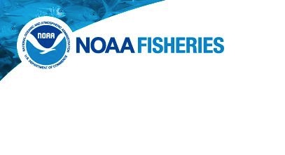 Support Available to Help Fishermen Interested in Investing in More Environmentally-Friendly Technologies